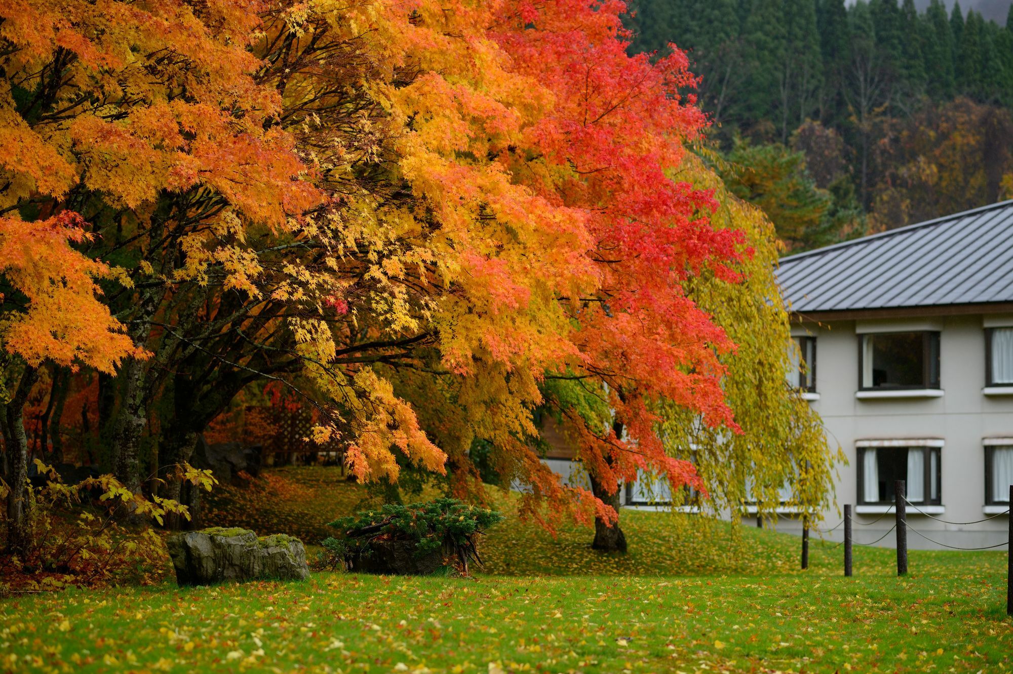Towada Prince Hotel Kosaka Exteriér fotografie